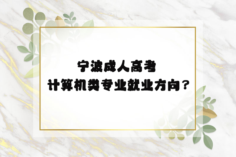 宁波成人高考计算机类专业就业方向？